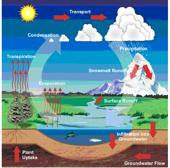 condensation water cycle. The Hydrologic Cycle