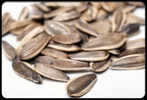 19-habits-that-wreck-your-teeth-s13-photo-of-sunflower-seeds